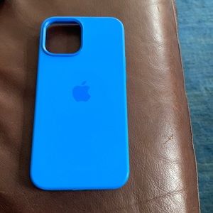 Apple Silicone MagSafe iPhone 12 Pro Max case